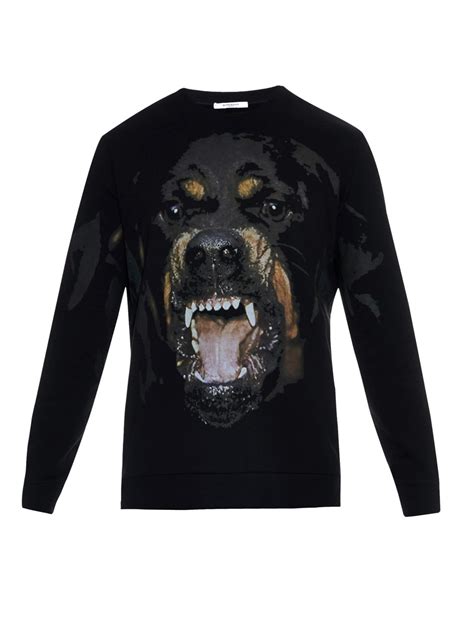 givenchy cuban-fit rottweiler embroidered cotton-jersey sweatshirt jumper|Rottweiler printed t.